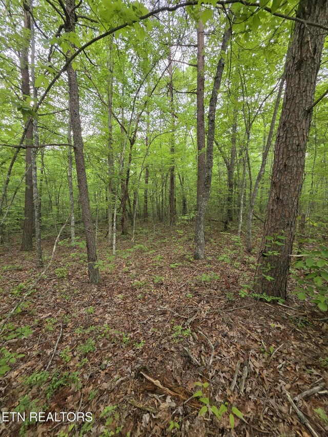 4 Cumberland Lakes Dr, Monterey, TN 38574 - photo 4