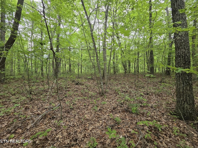 4 Cumberland Lakes Dr, Monterey, TN 38574 - photo 8