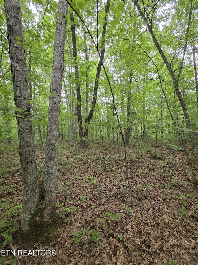 4 Cumberland Lakes Dr, Monterey, TN 38574 - photo 7