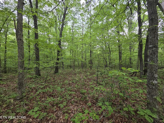 4 Cumberland Lakes Dr, Monterey, TN 38574 - photo 21