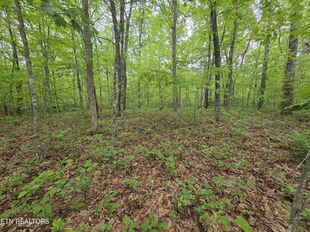 4 Cumberland Lakes Dr, Monterey, TN 38574 - photo 22