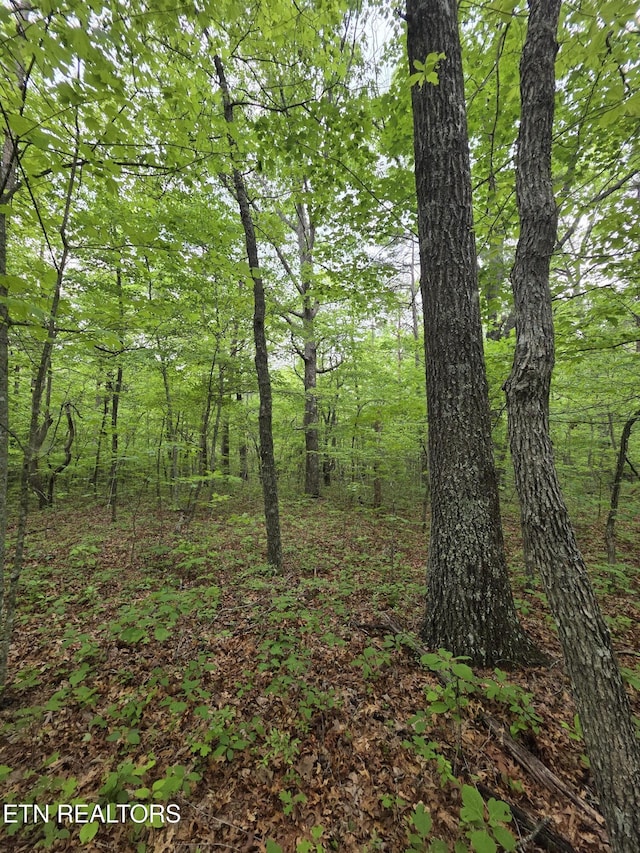 4 Cumberland Lakes Dr, Monterey, TN 38574 - photo 20