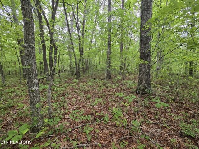 4 Cumberland Lakes Dr, Monterey, TN 38574 - photo 23