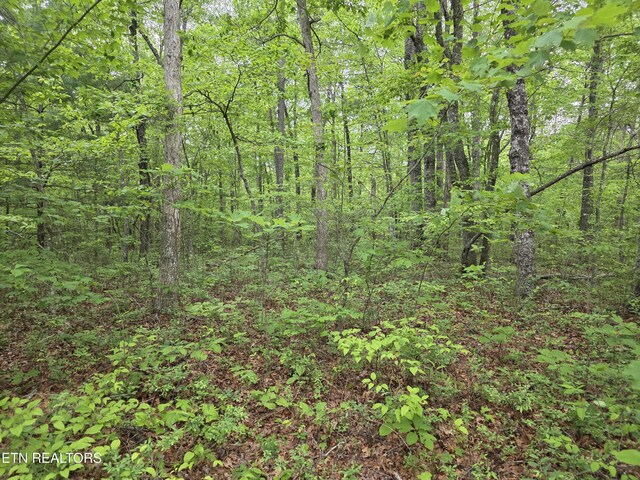 4 Cumberland Lakes Dr, Monterey, TN 38574 - photo 26