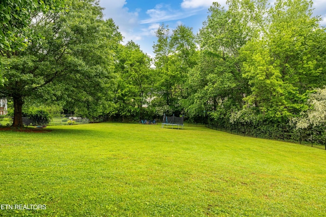 view of yard featuring a trampoline and view of wooded area