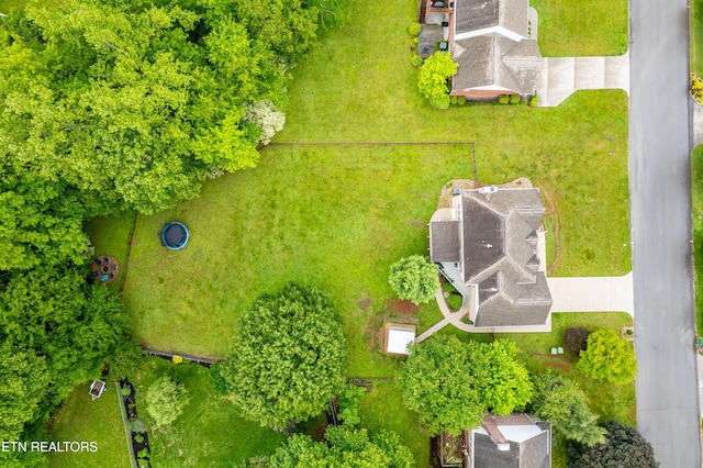 drone / aerial view