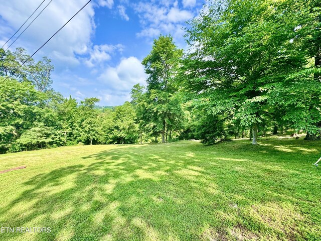 721 Fan St, Tazewell, TN 37879 - view of green lawn