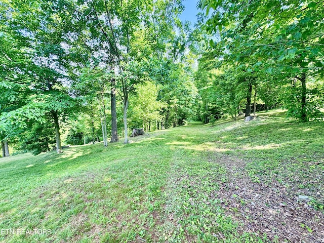 721 Fan St, Tazewell, TN 37879 - view of green lawn