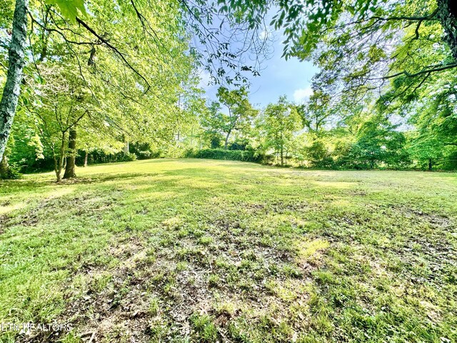 721 Fan St, Tazewell, TN 37879 - view of green lawn