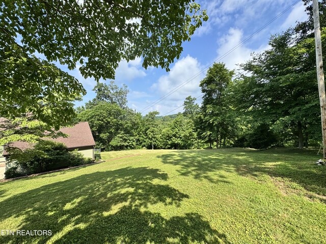 721 Fan St, Tazewell, TN 37879 - view of grassy yard