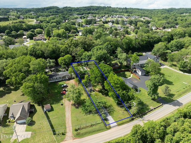 17047 Martel Rd, Lenoir City, TN 37772 - photo 27