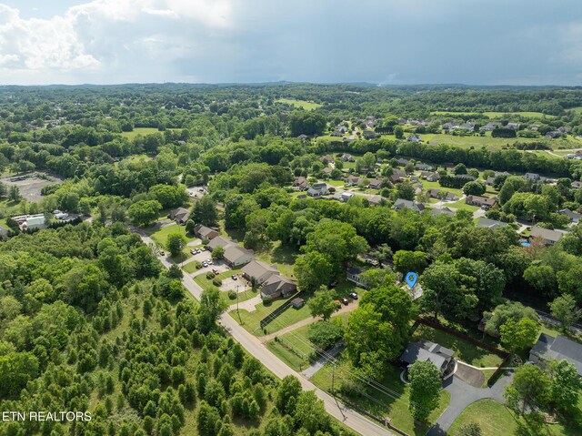 17047 Martel Rd, Lenoir City, TN 37772 - photo 29