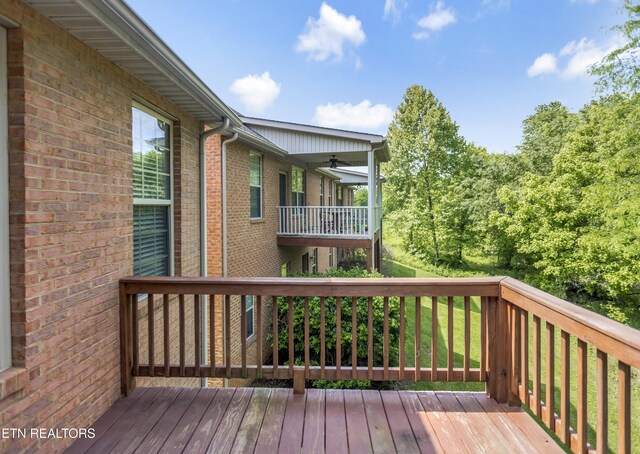 846 Racquet Club Way, Knoxville, TN 37923 - photo 34