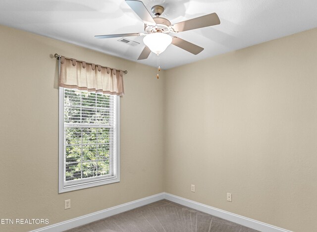 846 Racquet Club Way, Knoxville, TN 37923 - photo 22