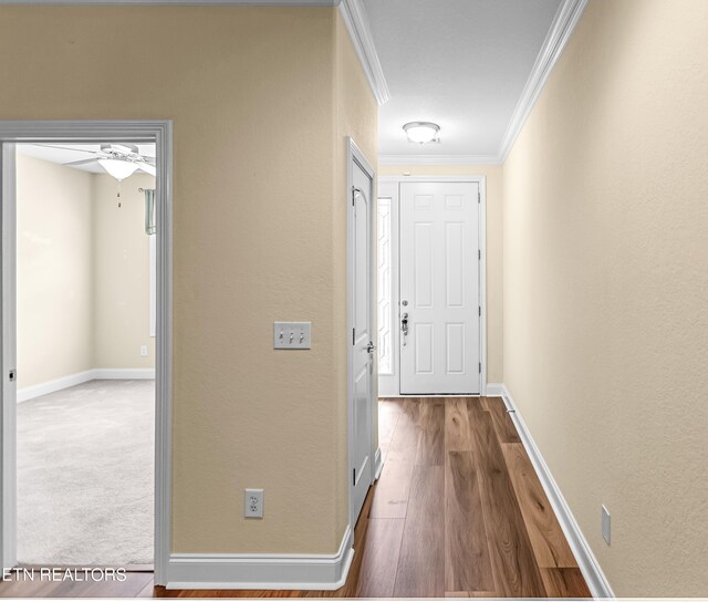 846 Racquet Club Way, Knoxville, TN 37923 - photo 5