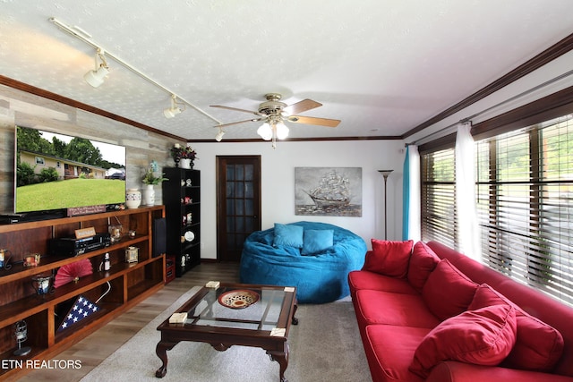 4708 Springbrook Rd, Knoxville, TN 37921 - living room featuring rail lighting, ornamental molding, a ceiling fan, and wood finished floors