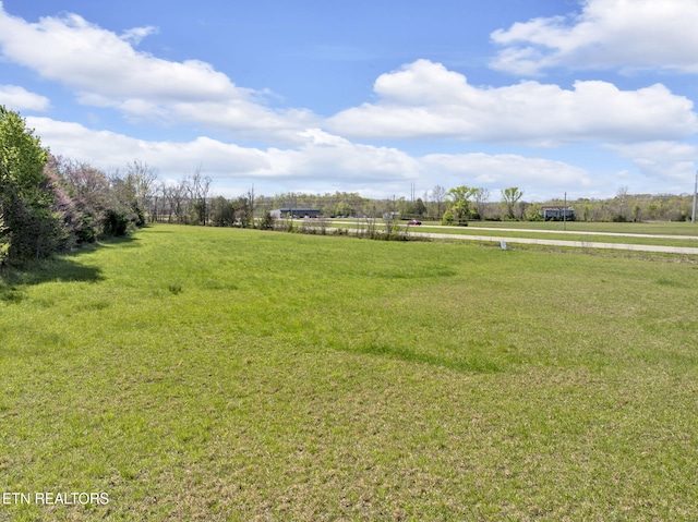 0 W Andrew Johnson Hwy, Mosheim, TN 37818 - photo 1
