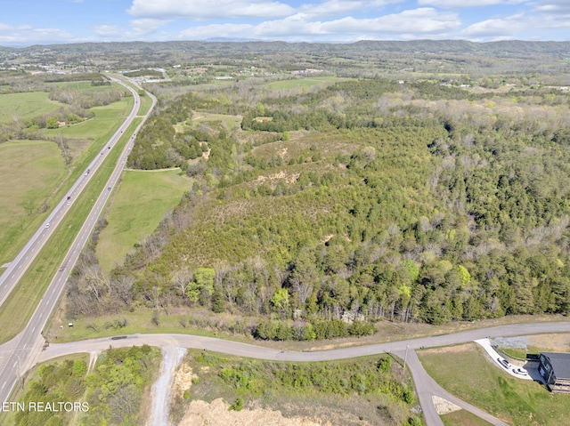 0 W Andrew Johnson Hwy, Mosheim, TN 37818 - photo 2