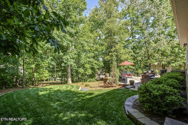 123 Seminole Ln, Loudon, TN 37774 - view of grassy yard featuring a patio area