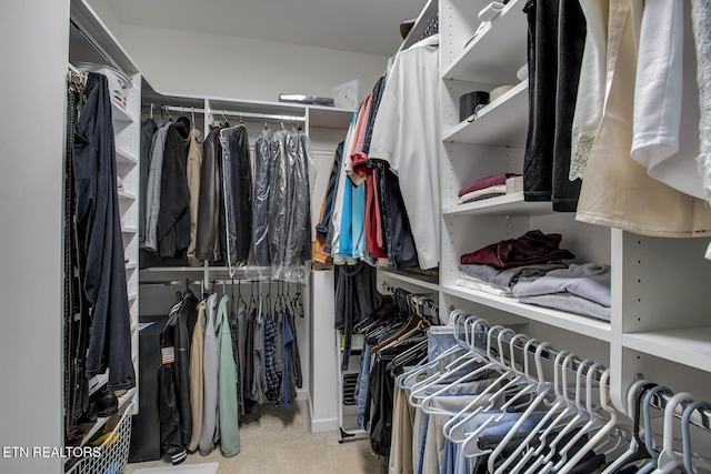 162 Tanasi Lagoon Dr, Loudon, TN 37774 - view of walk in closet