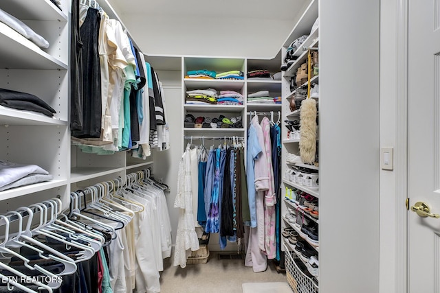 162 Tanasi Lagoon Dr, Loudon, TN 37774 - walk in closet featuring carpet floors