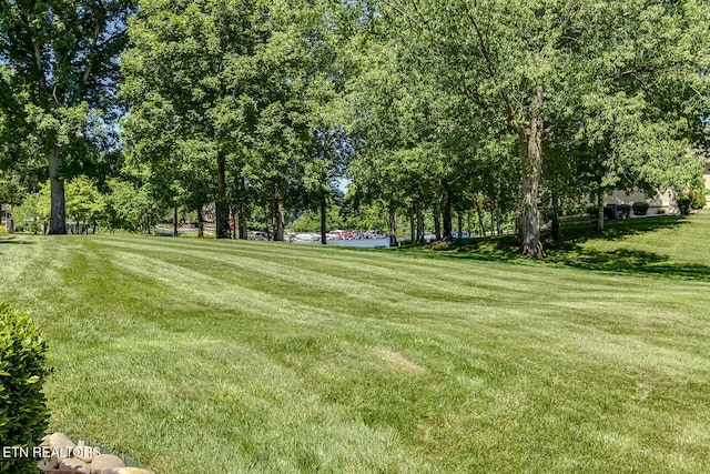 162 Tanasi Lagoon Dr, Loudon, TN 37774 - view of grassy yard with view of scattered trees