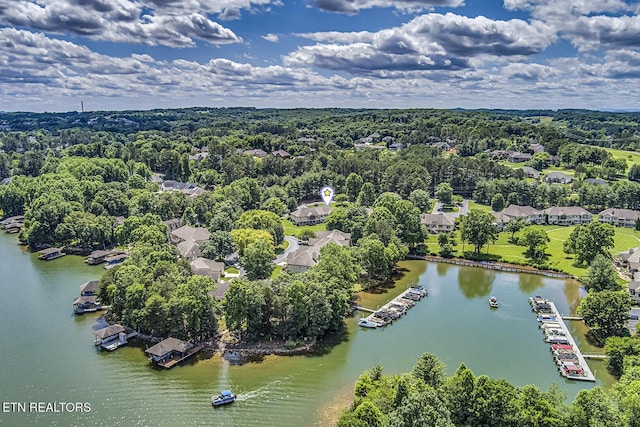 162 Tanasi Lagoon Dr, Loudon, TN 37774 - aerial view of a nearby body of water