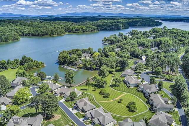 162 Tanasi Lagoon Dr, Loudon, TN 37774 - aerial view of residential area featuring a large body of water and a heavily wooded area