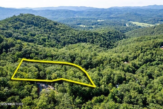 120 Greystone Way, Townsend, TN 37882