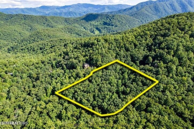 120 Greystone Way, Townsend, TN 37882