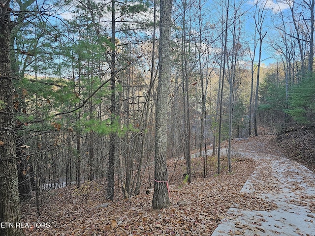 120 Greystone Way, Townsend, TN 37882
