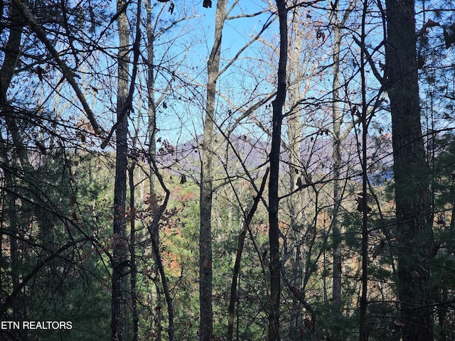 120 Greystone Way, Townsend, TN 37882