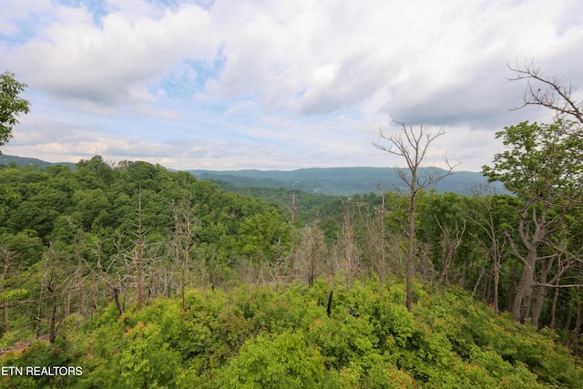 2266 Lone Ridge Dr, Sevierville, TN 37862 - view of mountain background featuring a forest