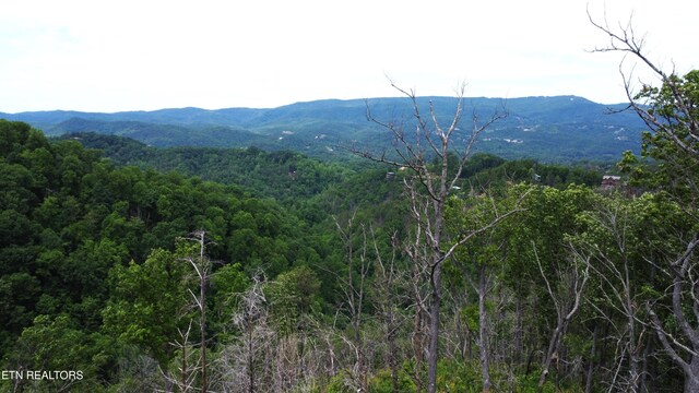 2266 Lone Ridge Dr, Sevierville, TN 37862 - mountain view with a forest