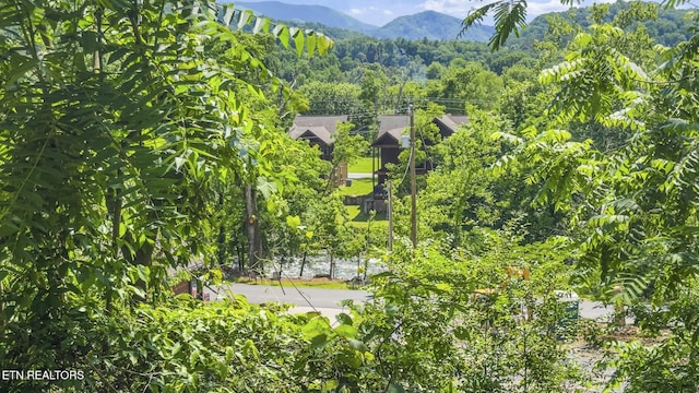view of mountain background with a heavily wooded area