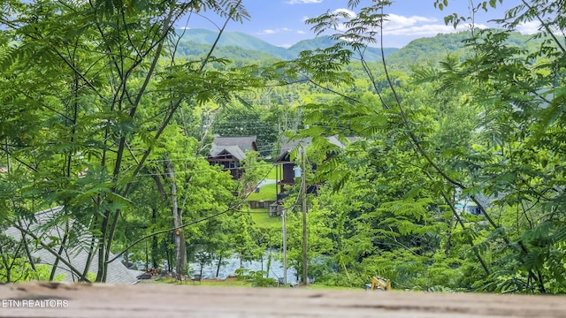 view of mountain background