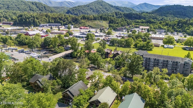 bird's eye view of a forest and a mountain backdrop