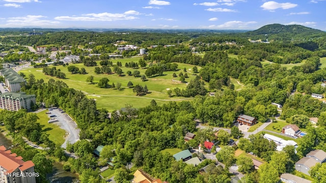 bird's eye view