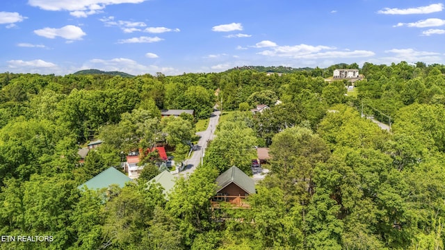 drone / aerial view of a forest