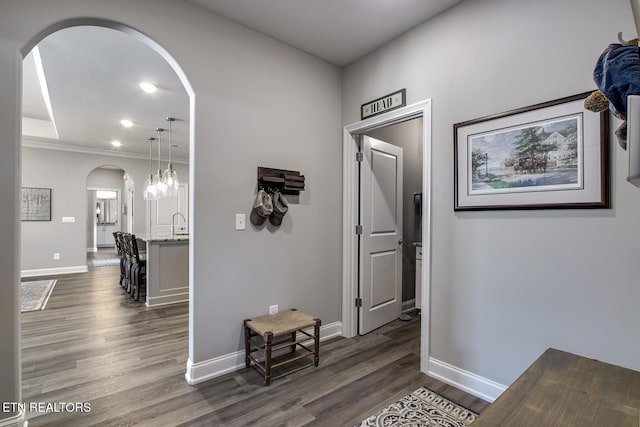 412 Sycamore Pl, Loudon, TN 37774 - hallway featuring arched walkways, dark wood-style flooring, baseboards, and ornamental molding