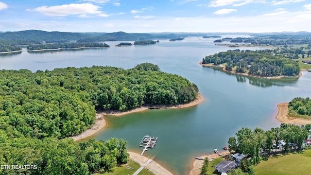98 Cow Poke Ln, Rutledge, TN 37861