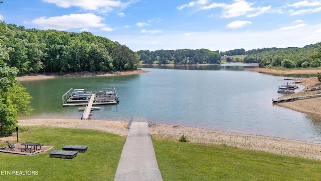 98 Cow Poke Ln, Rutledge, TN 37861