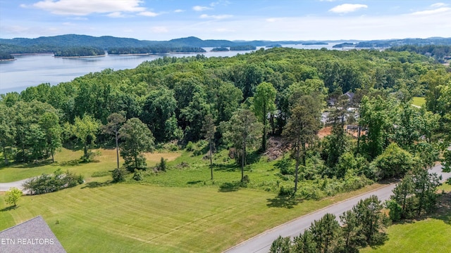 98 Cow Poke Ln, Rutledge, TN 37861