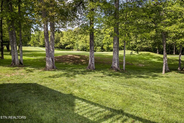 146 Cappshire Rd, Crossville, TN 38558 - photo 6