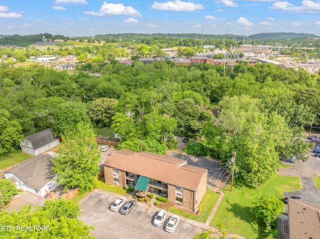 2755 Jersey Ave Unit A403, Knoxville, TN 37919 - photo 22