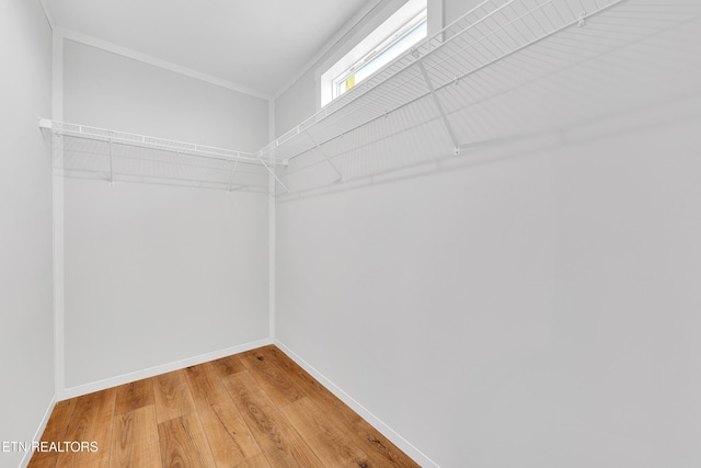 1559 River Path, Morristown, TN 37813 - walk in closet featuring light wood-type flooring