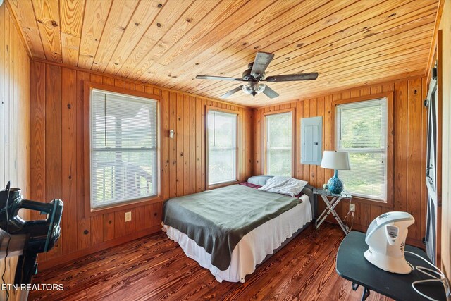 2892 N York Hwy, Pall Mall, TN 38577 - bedroom featuring wooden ceiling, multiple windows, wood walls, dark wood finished floors, and electric panel