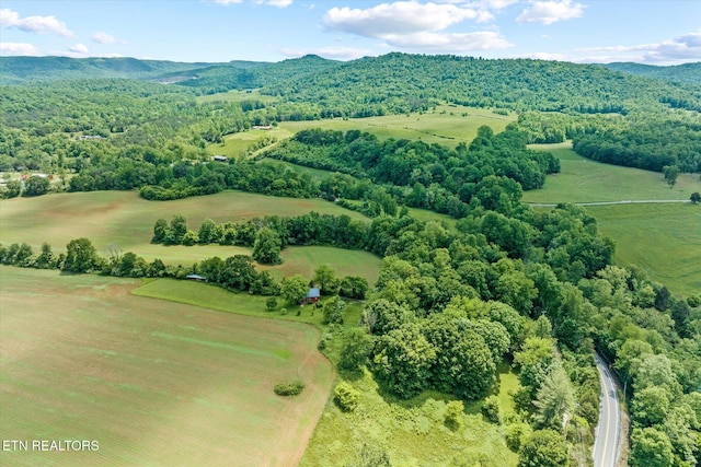 2892 N York Hwy, Pall Mall, TN 38577 - aerial view of mountains
