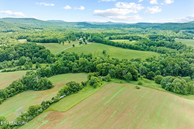 2892 N York Hwy, Pall Mall, TN 38577 - aerial view of a mountainous background