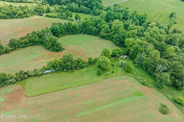 2892 N York Hwy, Pall Mall, TN 38577 - aerial view of property and surrounding area